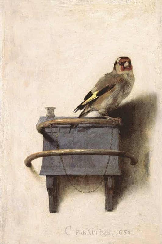 The Birds of the Torre del Codina, Chapter 8: The Goldfinch